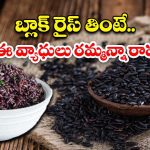 Black Rice: బ్లాక్ రైస్ తింటే.. ఎన్ని లాభాలో తెలిస్తే ఆశ్చర్యపోవడం గ్యారంటీ !