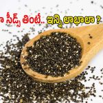 Chia Seeds: చియా సీడ్స్ తింటున్నారా ? ఈ విషయాలు తెలుసుకోకుంటే ప్రమాదం