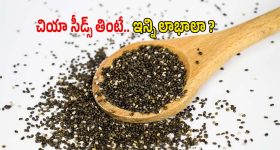 OTT Movie : ఫేమస్ కేరళ పండగ కోసం మారణహోమం.. రిలీజైన 6 నెలల తరువాత ఓటీటీలోకి క్రేజీ మలయాళ యాక్షన్ డ్రామా