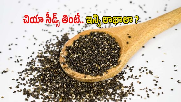 Chia Seeds: చియా సీడ్స్ తింటున్నారా ? ఈ విషయాలు తెలుసుకోకుంటే ప్రమాదం