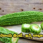 Bitter Gourd: కాకరకాయ తింటే.. ఆశ్చర్యపోయే లాభాలు !