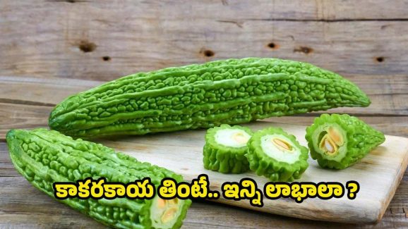 Bitter Gourd: కాకరకాయ తింటే.. ఆశ్చర్యపోయే లాభాలు !