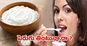Curd Benefits: ప్రతి రోజు ఒక కప్పు పెరుగు తింటే.. ఎన్ని ప్రయోజనాలో తెలిస్తే షాక్ అవుతారు