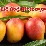 Mango Buying Tips: మామిడి పండ్లు కొనే ముందు.. ఈ జాగ్రత్తలు తప్పక తీసుకోండి !