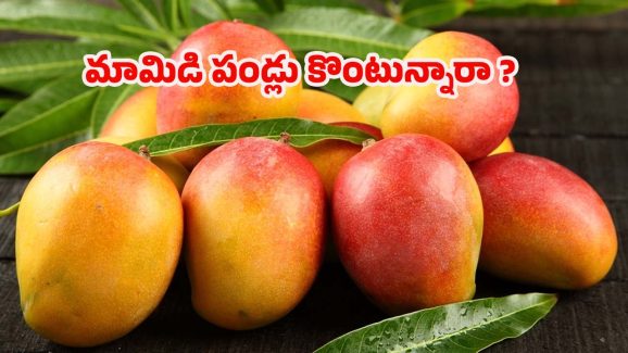 Mango Buying Tips: మామిడి పండ్లు కొనే ముందు.. ఈ జాగ్రత్తలు తప్పక తీసుకోండి !