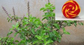 Khalid Rahman: డ్రగ్స్‌తో రెడ్ హ్యాండెడ్‌గా దొరికిపోయిన యంగ్ డైరెక్టర్.. తనతో పాటు మరొకరు కూడా..