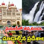 Mysore Tourist Places: మైసూర్‌ వెళ్తున్నారా ? చూడాల్సిన బెస్ట్ ప్లేస్‌‌లు ఇవే