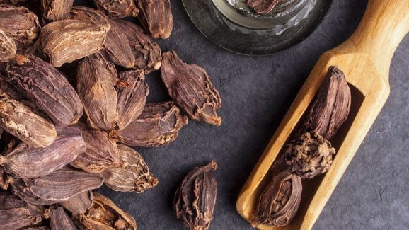 Black Cardamom: నల్ల ఏలకుల వల్ల ఎన్ని లాభాలో..