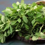 Fenugreek leaves: మెంతికూర చేసే మేలు గురించి తెలుసుకోకుంటే ఎలా