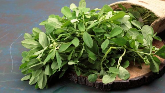 Fenugreek leaves: మెంతికూర చేసే మేలు గురించి తెలుసుకోకుంటే ఎలా