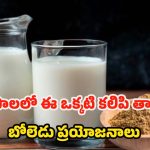Ashwagandha Milk: పాలలో ఈ ఒక్కటి కలిపి వాడితే.. రోగాలు రమ్మన్నా రావు !