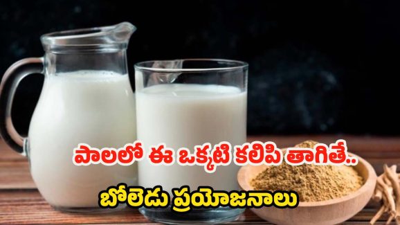 Ashwagandha Milk: పాలలో ఈ ఒక్కటి కలిపి వాడితే.. రోగాలు రమ్మన్నా రావు !