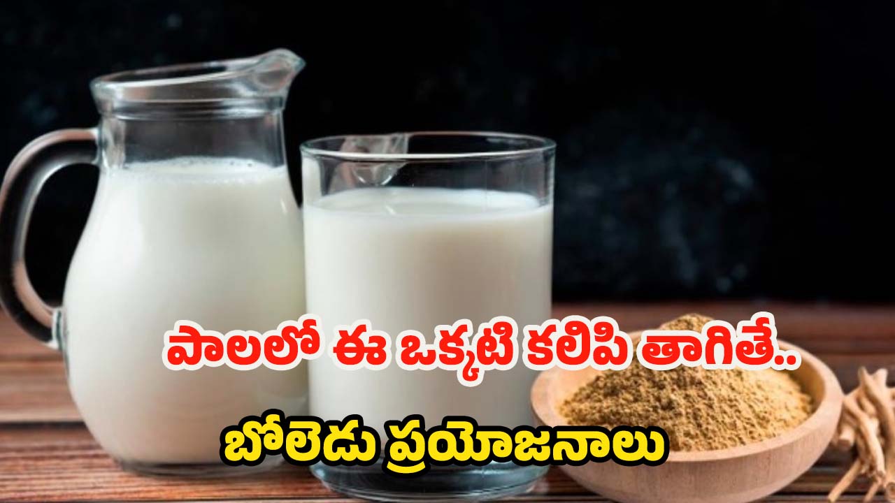 Ashwagandha Milk: పాలలో ఈ ఒక్కటి కలిపి వాడితే.. రోగాలు రమ్మన్నా రావు !