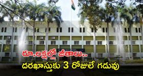 Vijayasai Reddy : తెలివైన క్రిమినల్.. సీఐడీతో విజయసాయిరెడ్డి ఏం చెప్పారంటే..