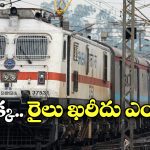 Train Buying: మనం రైలు కొనేయొచ్చా? రూల్స్ ఏం చెబుతున్నాయ్.. ఇండియాలో సాధ్యమేనా?