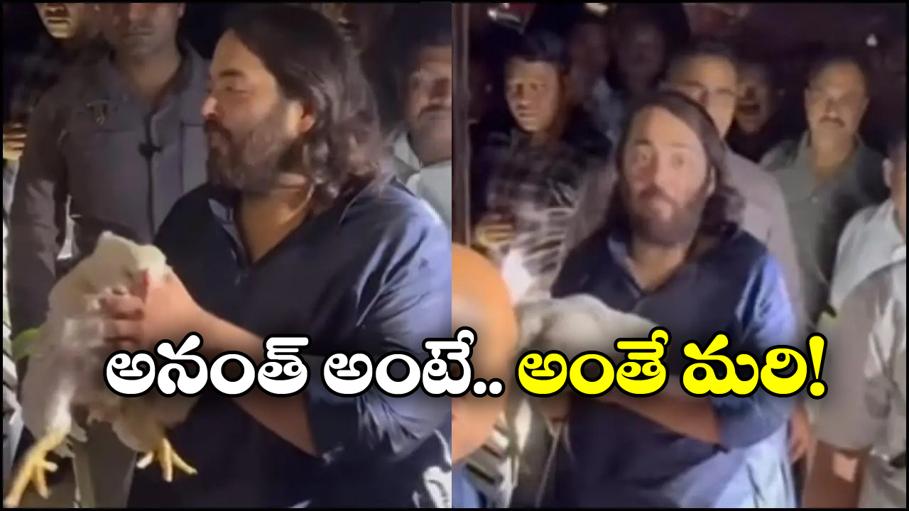 Anant Ambani: వ్యాన్ ఆపి, కోళ్లను కొన్న అనంత్ అంబానీ, నెట్టింట వీడియో వైరల్!