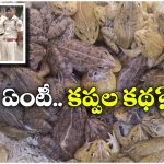 RPF Rescues Frogs: రైల్వే స్టేషన్ లో బస్తాల కొద్దీ కప్పలు.. ఓపెన్ చేసి చూసి రైల్వే పోలీసుల షాక్!