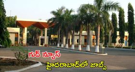 TTD : త్వరలోనే ఆ పదవులు.. 100శాతం మార్పులు.. చంద్రబాబు క్లియర్ కట్