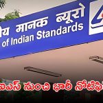 BIS Recruitment: బ్యూరో ఆఫ్ ఇండియన్ స్టాండర్డ్స్‌లో ఉద్యోగాలు.. నెలకు రూ.75,000 జీతం.. పూర్తి వివరాలివే..