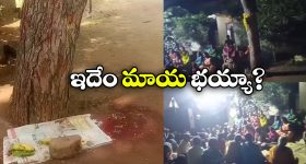 Bapatla District: వేప చెట్టు వింత.. పరుగులు తీస్తున్న బాపట్ల జనం!