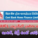 CBHFL Recruitment: ఇంటర్, డిగ్రీ ఉంటే చాలు.. ఈ జాబ్స్‌కి అప్లై చేసుకోవచ్చు.. CBHFL నుంచి భారీ నోటిఫికేషన్
