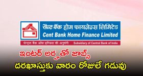 CBHFL Recruitment: ప్రముఖ బ్యాంక్‌లో 212 ఉద్యోగాలు.. ఇంటర్ అర్హతతో ఉద్యోగాలు.. దరఖాస్తుకు వారం రోజులే గడువు