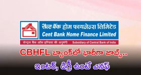 CBHFL Recruitment: ఇంటర్, డిగ్రీ ఉంటే చాలు.. ఈ జాబ్స్‌కి అప్లై చేసుకోవచ్చు.. CBHFL నుంచి భారీ నోటిఫికేషన్