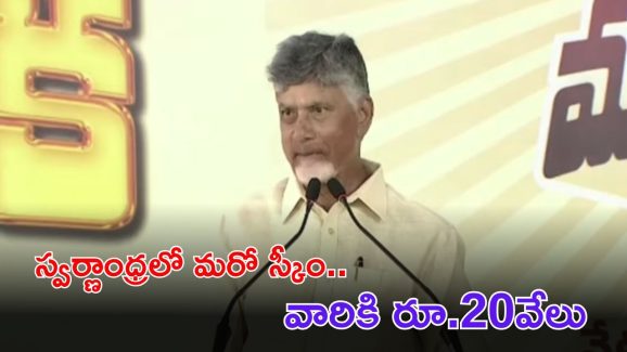 CM Chandrababu Naidu: ఏపీలో మరో కొత్త పథకం అమలు.. వారందరికీ రూ.20,000
