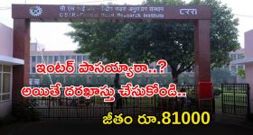 CSIR-CRRI Jobs: ఇంటర్ పాసైతే చాలు భయ్యా.. ఈ ఉద్యోగానికి అప్లై చేసుకోవచ్చు.. రూ.81,000 జీతం