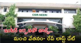 South Indian Food in Trains: రైళ్లలో సౌత్ ఇండియన్ ఫుడ్ ఎందుకు పెట్టరో తెలుసా?