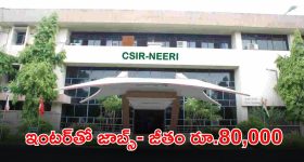 Poxiao: బియ్యపు గింజంత హార్డ్ డ్రైవ్‌..రెప్పపాటులో డేటా ట్రాన్స్​ఫర్, ఇంకా..