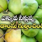 Coconut water: నిండుగా నీళ్లున్న కొబ్బరి బోండాం కావాలా? సింఫుల్ గా ఇలా సెలక్ట్ చేసుకోండి!