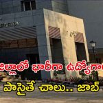 DMHO Jobs: తెలంగాణలో ఆ జిల్లాలో భారీగా ఉద్యోగాలు.. టెన్త్, ఇంటర్ అర్హతలు ఉంటే చాలు..