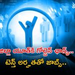 DSH Recruitment: ఆ జిల్లా యువతకు గోల్డెన్ ఛాన్స్.. టెన్త్ క్లాస్‌తో జాబ్స్, పైగా మంచి వేతనం.. ఇంకెందుకు ఆలస్యం