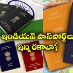 Passports In India: 4 రంగుల్లో ఇండియన్ పాస్ పోర్టులు, ఇది ఉంటే వీసా లేకుండానే విదేశాలకు వెళ్లొచ్చు!