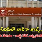 ESIC Recruitment: ఎంప్లాయిస్‌ స్టేట్ ఇన్సూరెన్స్ కార్పొరేషన్‌‌లో 558 ఉద్యోగాలు.. జీతం అక్షరాల రూ.78,800..