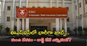 ESIC Recruitment: ఎంప్లాయిస్‌ స్టేట్ ఇన్సూరెన్స్ కార్పొరేషన్‌‌లో 558 ఉద్యోగాలు.. జీతం అక్షరాల రూ.78,800..