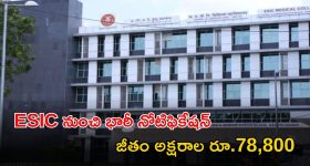 ESIC Recruitment: ఈఎస్ఐసీలో 558 ఉద్యోగాలు.. జస్ట్ ఇంటర్వ్యూతోనే జాబ్.. దరఖాస్తుకు చివరి తేది ఇదే..
