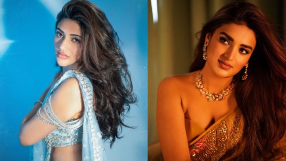 Nidhhi Agerwal: శ్రీలీలతో పోలికలు.. ప్రేక్షకులకు పవన్ కళ్యాణ్ హీరోయిన్ కౌంటర్