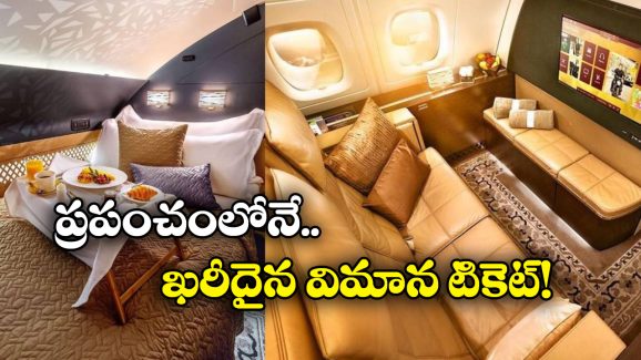 Expensive Plane Ticket: ఈ ఫ్లైట్ టికెట్ కొనాలంటే ఆస్తులు అమ్మాల్సిందే, ధర ఎంతో తెలుసా?