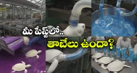 Fact Check:  తాబేళ్లను చంపి టూత్ పేస్ట్ తయారీ.. ఇదీ అసలు కథ!