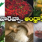 Facts about AP: ఇండియాకు ఏపీ ఇన్ని అందిస్తోందా? మీరు అస్సలు ఊహించి ఉండరు!