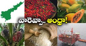 OTT Movie : వేరే వ్యక్తితో భార్య శోభనం.. భార్యను వేధించే కసాయి భర్త.. క్లైమాక్స్ వేరే లెవల్..