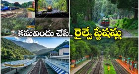 Healthy Bones: ఎముకలు బలంగా ఉండాలంటే.. వీటిని తప్పకుండా తినాల్సిందే ?