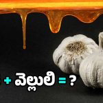 Honey and Garlic: వెల్లుల్లి రెబ్బను తేనెలో ముంచి తినాలా? ఎందుకు?
