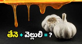 Honey and Garlic: వెల్లుల్లి రెబ్బను తేనెలో ముంచి తినాలా? ఎందుకు?