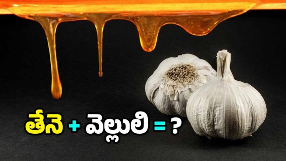 Honey and Garlic: వెల్లుల్లి రెబ్బను తేనెలో ముంచి తినాలా? ఎందుకు?