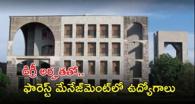 IIFM Recruitment: డిగ్రీ అర్హతతో ఫారెస్ట్ మేనేజ్‌మెంట్‌లో ఉద్యోగాలు.. నెలకు రూ.30,000 జీతం.. జస్ట్ ఇంటర్వ్యూతోనే జాబ్ భయ్యా..