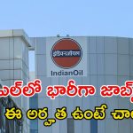 IOCL Recruitment: ఐవోసీఎల్‌లో 1770 పోస్టులు, స్టైఫండ్ ఇచ్చి ఉద్యోగం ఇస్తారు.. పూర్తి వివరాలివే..