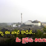 IREL Recruitment: డిగ్రీ పాసైన వాళ్లందరూ అప్లై చేసుకోవచ్చు.. లక్షల్లో శాలరీలు.. ఇంకెందుకు ఆలస్యం..!